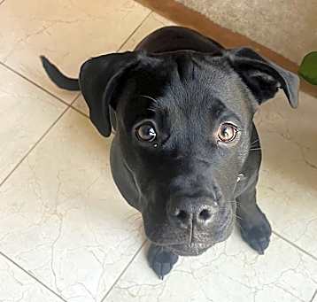 Photo of Winnie