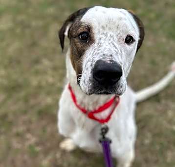 Photo of Lola