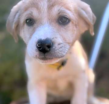 Photo of Audrey