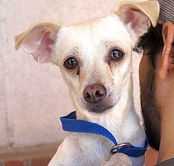 Photo of Kami