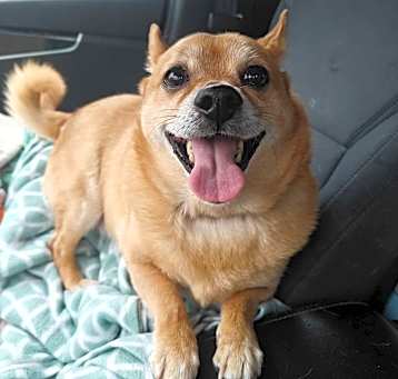 Photo of Jelly Roll