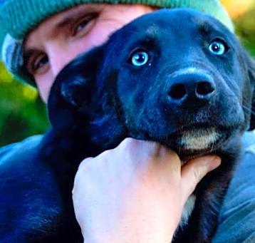 Photo of Blue