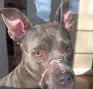 Photo of Skye