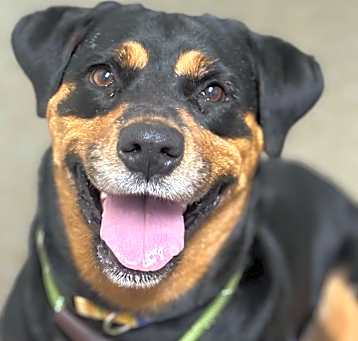 Photo of Lucy