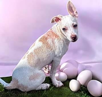 Photo of Zeus