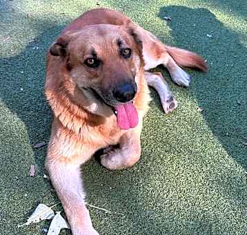 Photo of Leo