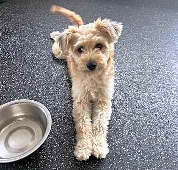 Photo of Emmie