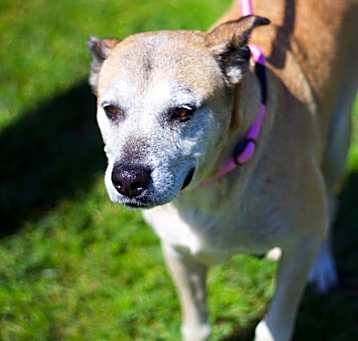 Photo of Holiday 21284