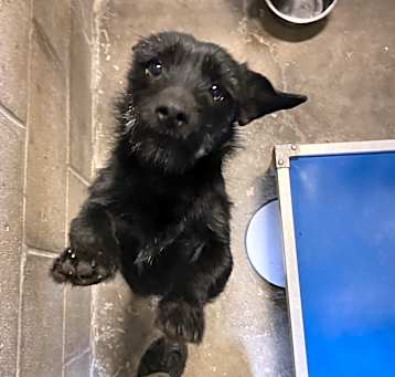 Photo of Toto
