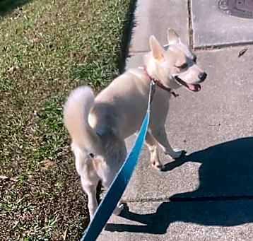 Photo of Aila