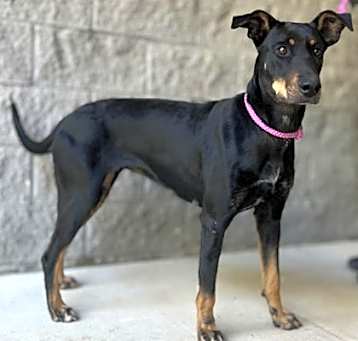 Photo of Sammie