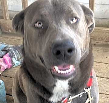 Photo of Ghost
