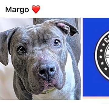 Photo of MARGO
