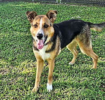 Photo of Captain