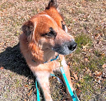 Photo of Clementine