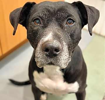 Photo of Winnifred (Winnie)
