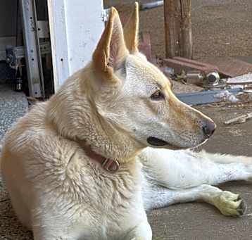 Photo of April