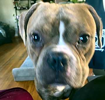 Photo of Major