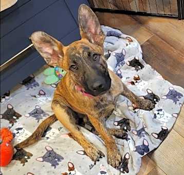 Photo of *Roux