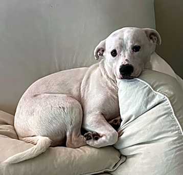 Photo of Maggie