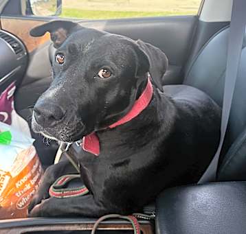 Photo of Ellie