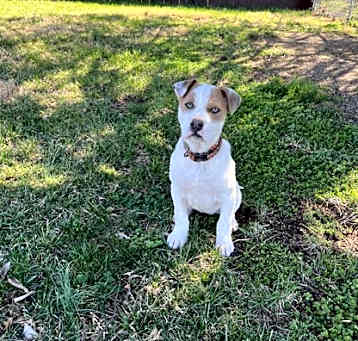 Photo of Stripe