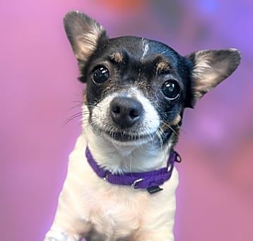 Photo of Cindy