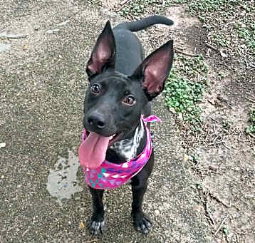 Photo of Gonzalez (Layla)