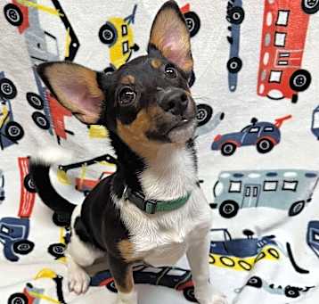 Photo of Javin