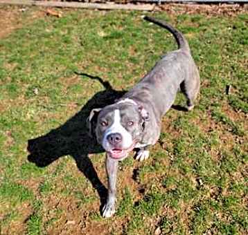 Photo of Duchess