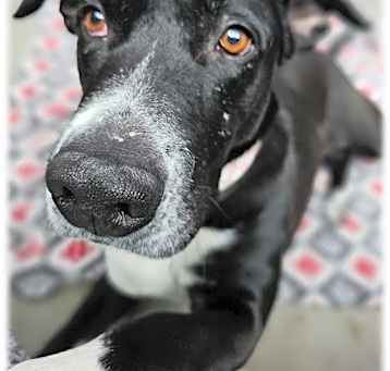 Photo of FAITH