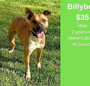 Photo of Billybob