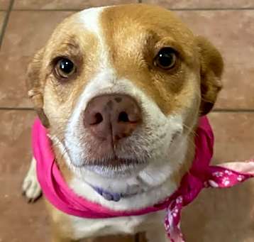 Photo of Penny