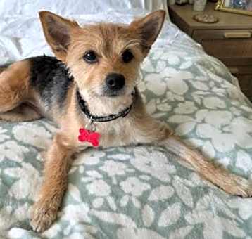 Photo of Roxie
