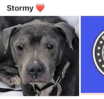 Photo of STORMY