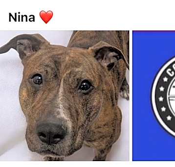 Photo of NINA