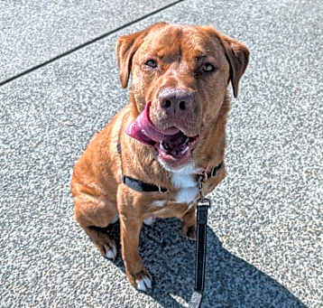 Photo of Lenny