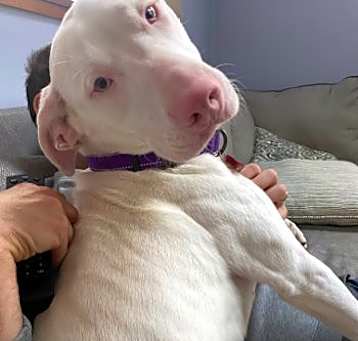 Photo of Cassie