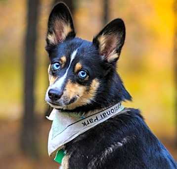 Photo of Echo