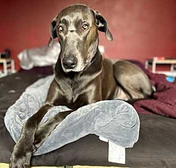 Photo of Audrey