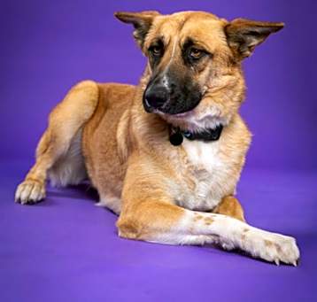 Photo of F25 FC 104 Missy