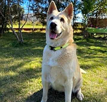 Photo of Korra