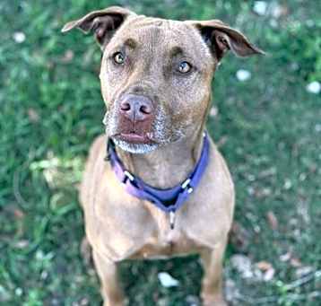 Photo of Teedie