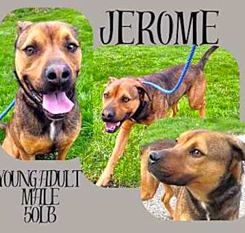Photo of JEROME