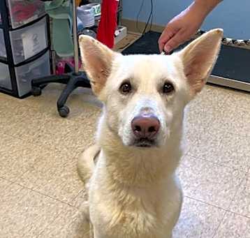 Photo of Jasper