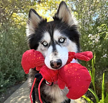 Photo of Betty
