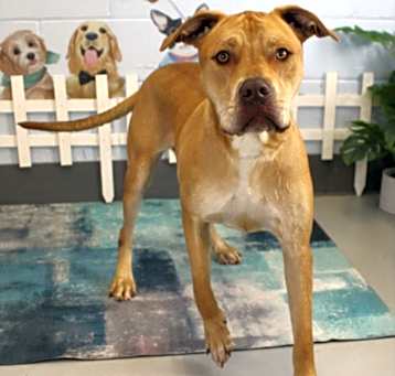 Photo of Boyd URGENT PLEASE HELP HIM
