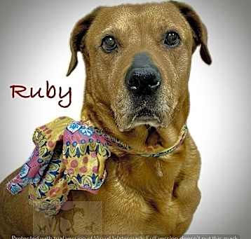 Photo of RUBY