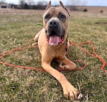 Photo of Duke