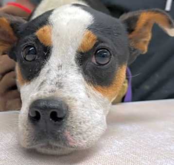Photo of Ruthie